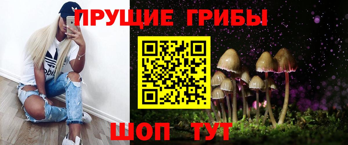 Рузаевка  Галлюциногенные грибы Cubensis  Вход с VPN 